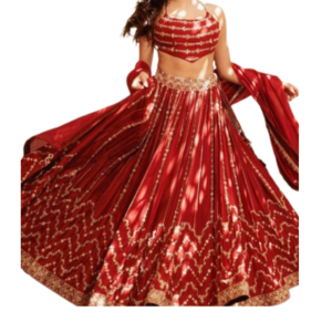 Bollywood Dance Costumes