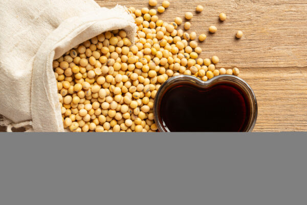 Insoya: Exploring Its Meaning, Uses, and Future Potential